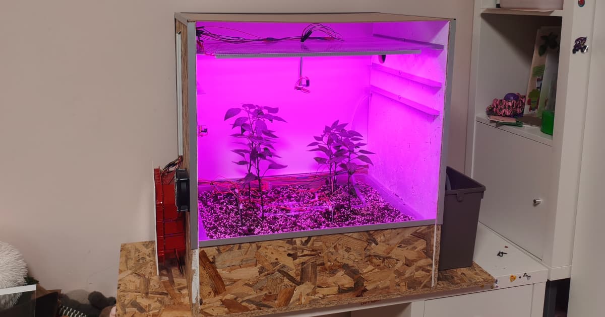 Mini greenhouse with Bolivian Rainbow chili peppers and environment sensors